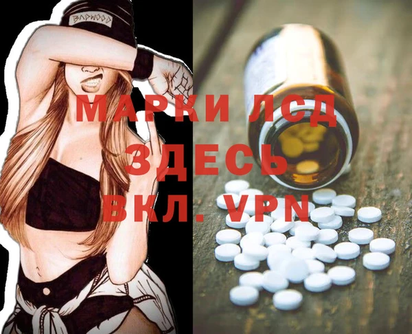 spice Пересвет